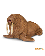 Морж, Safari Ltd