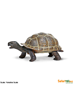 Фигурка Safari Ltd Сухопутная черепаха (детеныш), XL