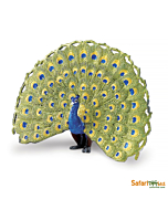 Павлин, Safari Ltd