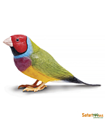 Гульдова амадина XL, Safari Ltd