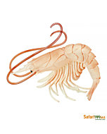 Креветка XL, Safari Ltd