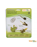 Набор Жизненный цикл лягушки, Safari Ltd