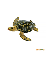 Зеленая морская черепаха, Safari Ltd