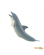 Дельфин Афалина, Safari Ltd