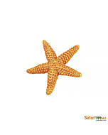 Морская звезда, Safari Ltd
