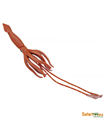 Гигантский кальмар, Safari Ltd