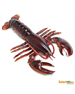 Американский омар XL, Safari Ltd