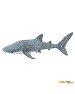 Китовая акула, Safari Ltd