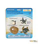 Набор Жизненный цикл зеленой морской черепахи, Safari Ltd