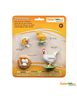Набор фигурок Safari Ltd Жизненный цикл курицы