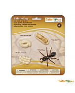 Набор Жизненный цикл муравья, Safari Ltd
