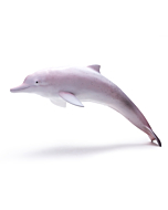 Фигурка Розовый речной дельфин
