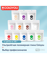 Набор профессиональной полимерной глины  Coloyou Pro, 12 цветов, 100 г