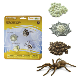 Набор фигурок Safari Ltd Жизненный цикл паука