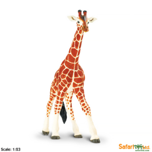 Сетчатый жираф, XL, Safari Ltd