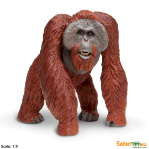 Фигурка Safari Ltd Калимантанский орангутан, XL