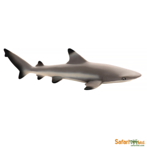 Рифовая акула, Safari Ltd