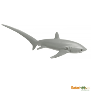 Акула-лисица, Safari Ltd