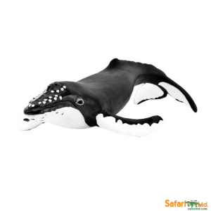 Горбатый кит, Safari Ltd