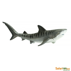 Тигровая акула, Safari Ltd