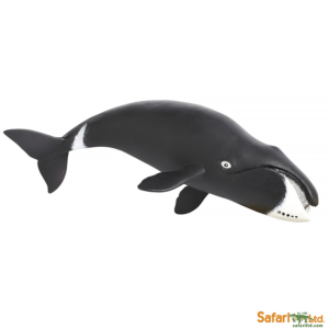 Гренландский кит, Safari Ltd