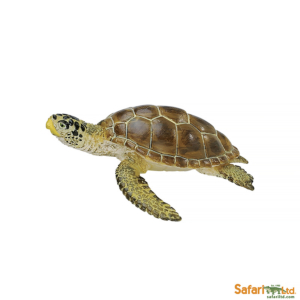 Головастая черепаха, Safari Ltd
