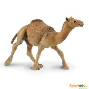 Фигурка Safari Ltd Одногорбый верблюд