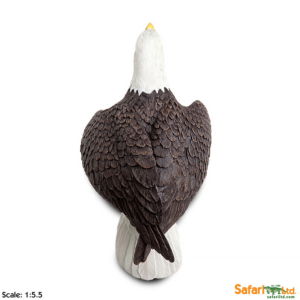 Белоголовый орлан XL, Safari Ltd