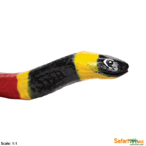 Коралловая змея XL, Safari Ltd