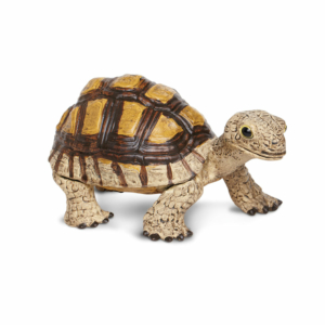 Фигурка Safari Ltd Сухопутная черепаха