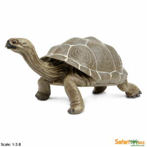 Фигурка Safari Ltd Сухопутная черепаха, XL