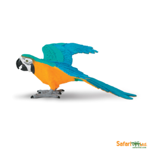 Фигурка попугая Safari Ltd Сине-желтый ара