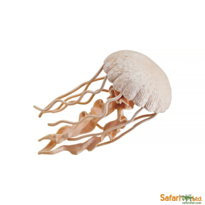 Медуза XL, Safari Ltd