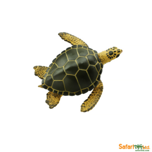 Зеленая морская черепаха, Safari Ltd