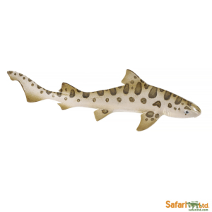 Леопардовая акула, Safari Ltd