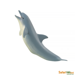 Дельфин Афалина, Safari Ltd