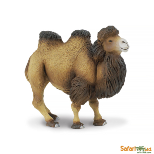 Двугорбый верблюд, Safari Ltd