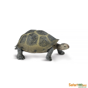 Пустынная черепаха, Safari Ltd