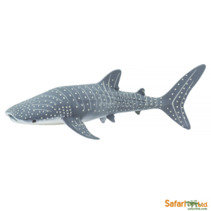 Китовая акула, Safari Ltd