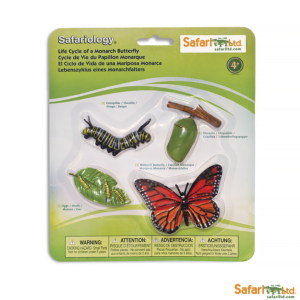 Набор Жизненный цикл бабочки монарх, Safari Ltd