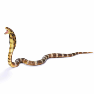 Фигурка змеи Королевская кобра