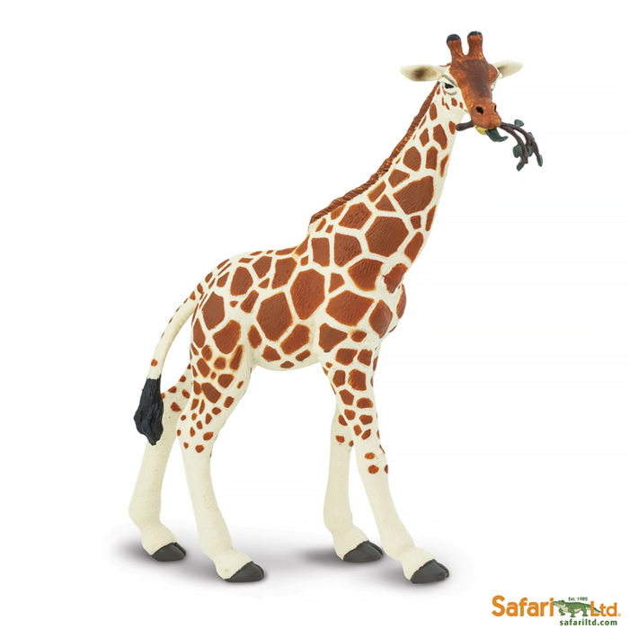 Фигурка Safari Ltd Сетчатый жираф за 1,600 руб – купить в интернет-магазине  КуклаДом в Москве и России, отзывы