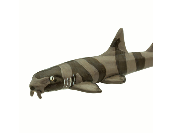 Фигурка Safari Ltd Азиатская кошачья акула за 870 руб – купить в  интернет-магазине КуклаДом в Москве и России, отзывы