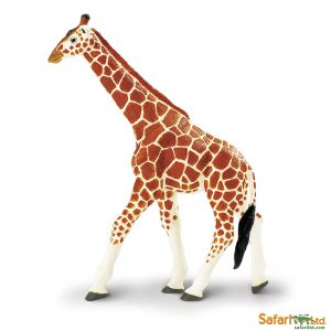 Сетчатый жираф, XL, Safari Ltd
