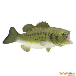 Бас большеротый XL, Safari Ltd